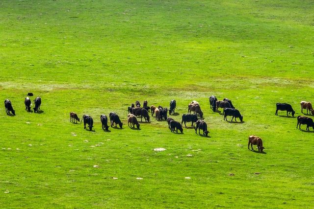 00 St Hwy 274, Kemp, TX 75143