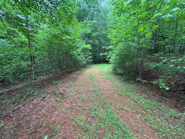 Lot 11 Horse Camp Drive, Hayesville, NC 28904
