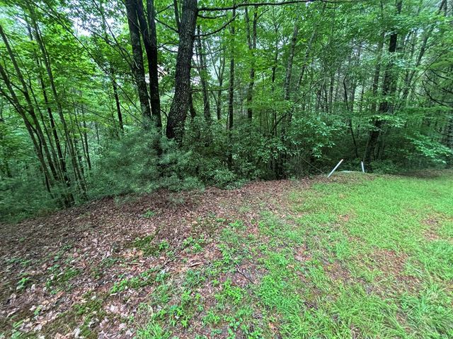 Lot 11 Horse Camp Drive, Hayesville, NC 28904