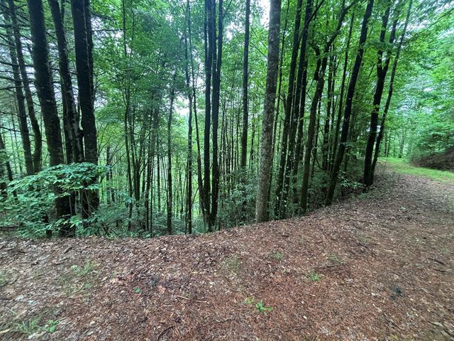Lot 11 Horse Camp Drive, Hayesville, NC 28904