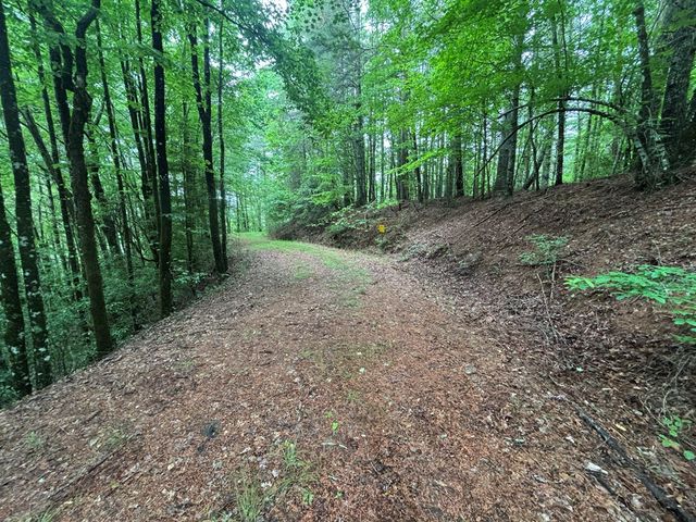 Lot 11 Horse Camp Drive, Hayesville, NC 28904