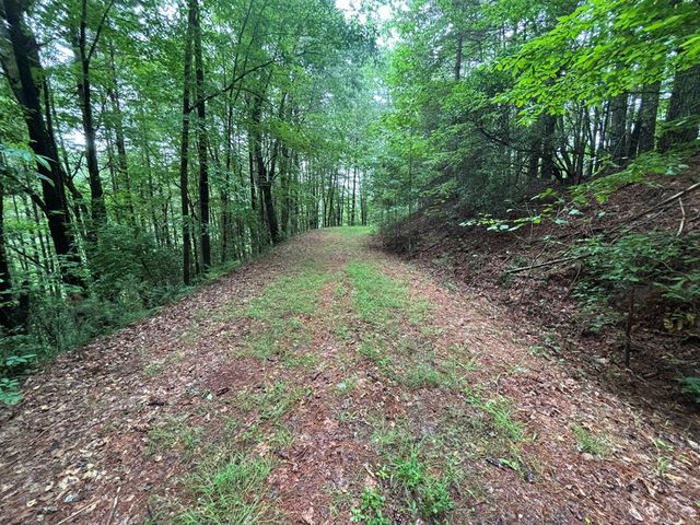 Lot 11 Horse Camp Drive, Hayesville, NC 28904