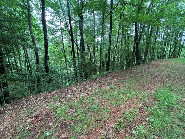 Lot 11 Horse Camp Drive, Hayesville, NC 28904