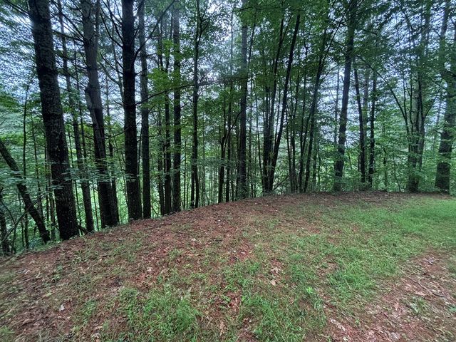 Lot 11 Horse Camp Drive, Hayesville, NC 28904