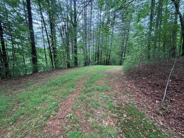 Lot 11 Horse Camp Drive, Hayesville, NC 28904