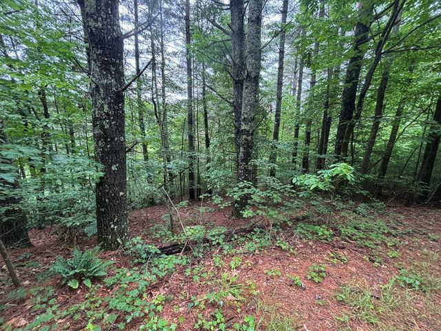 Lot 11 Horse Camp Drive, Hayesville, NC 28904
