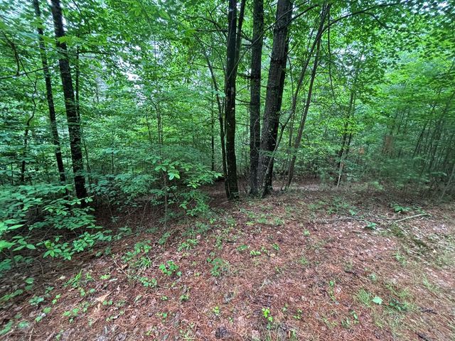 Lot 11 Horse Camp Drive, Hayesville, NC 28904