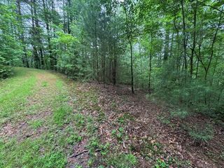 Lot 11 Horse Camp Drive, Hayesville, NC 28904