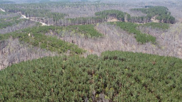 0 Sassafras Stand Ridge Road, Linden, TN 37096