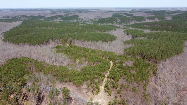 0 Sassafras Stand Ridge Road, Linden, TN 37096