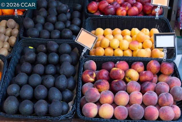 1810 Cole Ave 3, Walnut Creek, CA 94596