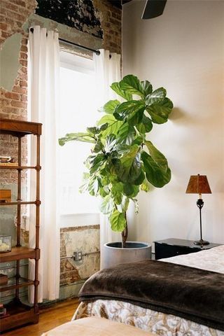 320 Martin Luther King Jr Drive SE 19, Atlanta, GA 30312