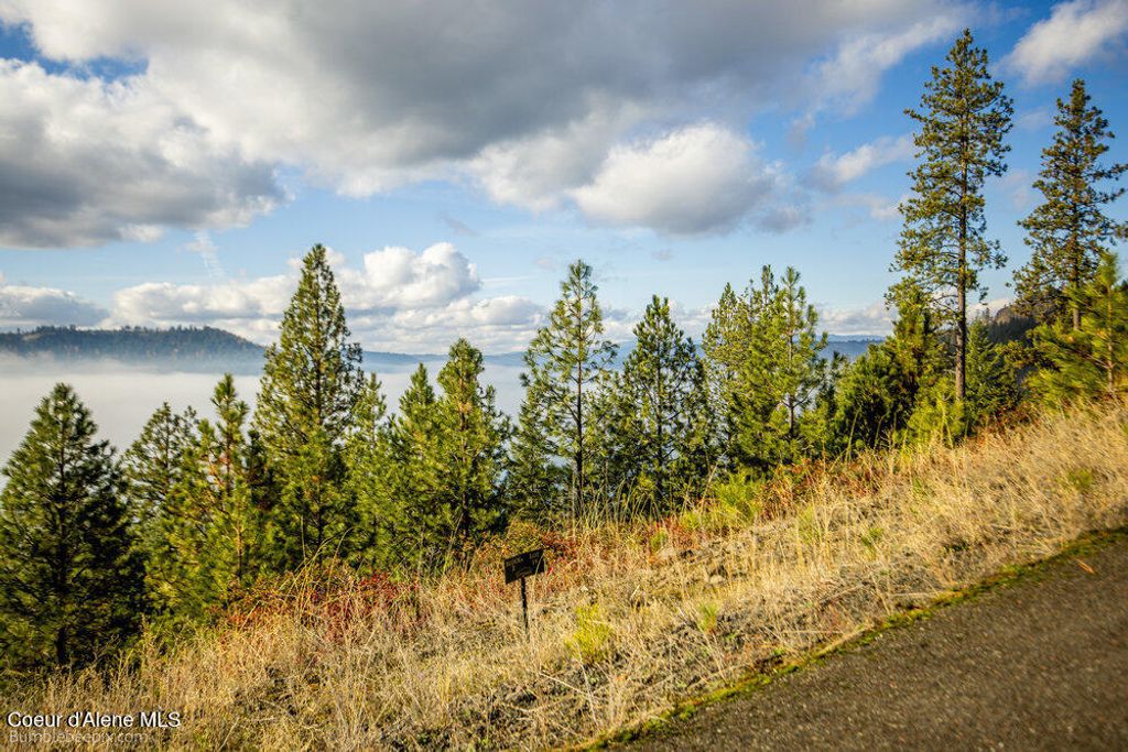 NNA Ledgestone Road, Harrison, ID 83833 photo 11