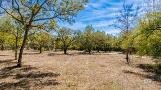 00 County Road 99, Lillian, AL 36549