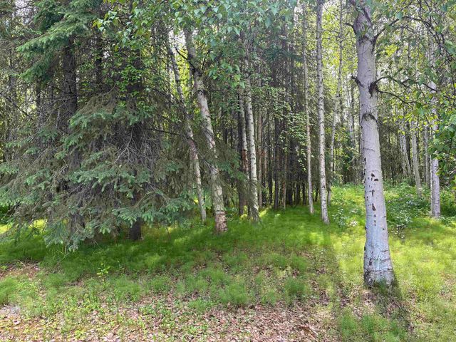 653 FLORENCE STREET, North Pole, AK 99705