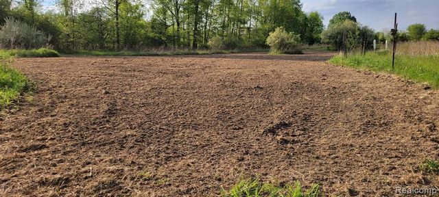 5785 Layton Road, Fowlerville, MI 48836