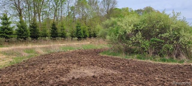 5785 Layton Road, Fowlerville, MI 48836