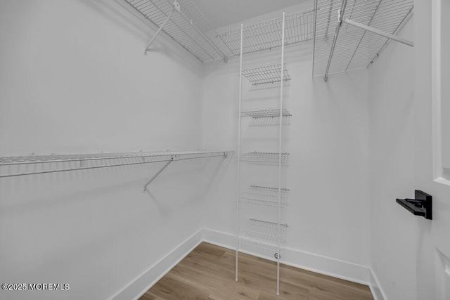 108 Petty Place 2, Lakewood, NJ 08701