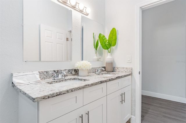 703 E LAKE AVENUE, Tampa, FL 33603