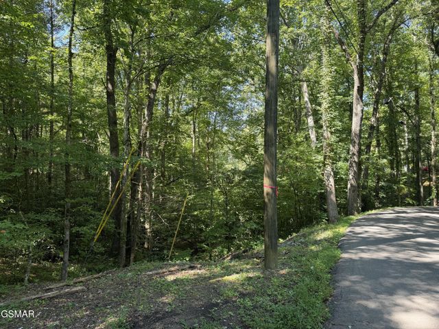 3 Low Gap Road, Gatlinburg, TN 37738