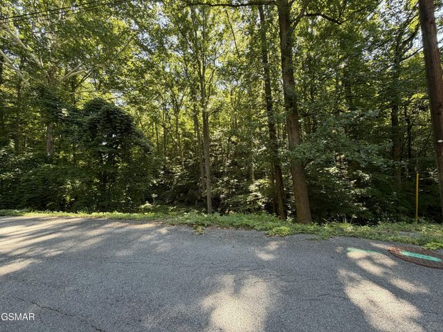 3 Low Gap Road, Gatlinburg, TN 37738