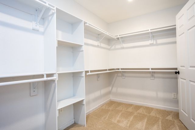809 Wood River Road, Dallas, TX 75232