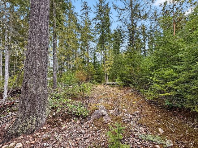 61 N Dow Court, Hoodsport, WA 98548
