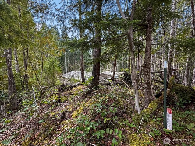 61 N Dow Court, Hoodsport, WA 98548
