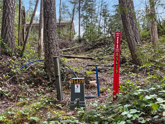 61 N Dow Court, Hoodsport, WA 98548