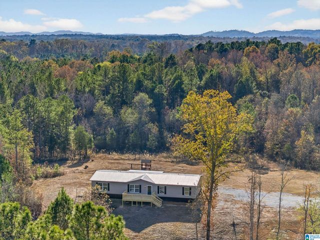 3350 PEEKS HILL ROAD, Ohatchee, AL 36271