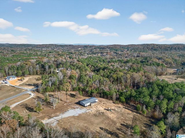 3350 PEEKS HILL ROAD, Ohatchee, AL 36271