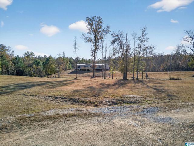 3350 PEEKS HILL ROAD, Ohatchee, AL 36271