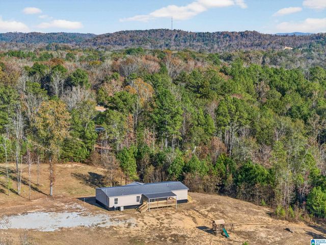 3350 PEEKS HILL ROAD, Ohatchee, AL 36271