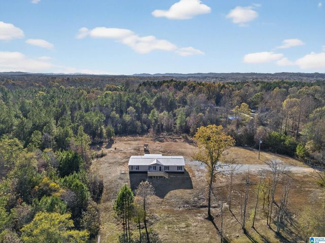 3350 PEEKS HILL ROAD, Ohatchee, AL 36271