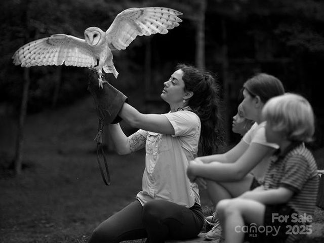 768 Boar Ridge Road 121, Sylva, NC 28713