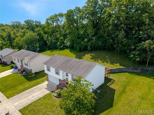 5 Summit Trails Court, Collinsville, IL 62234