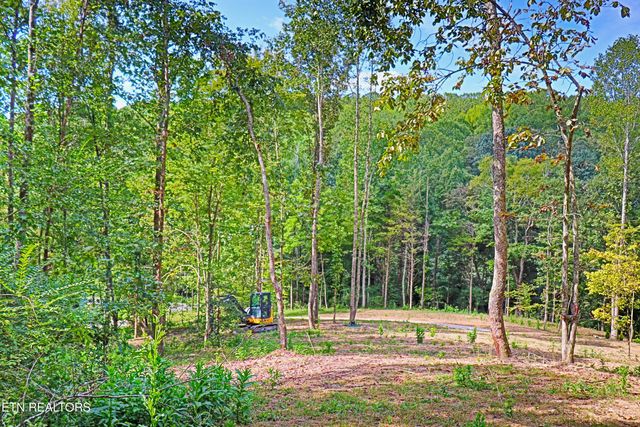 1700 Bluff Rd, Harriman, TN 37748