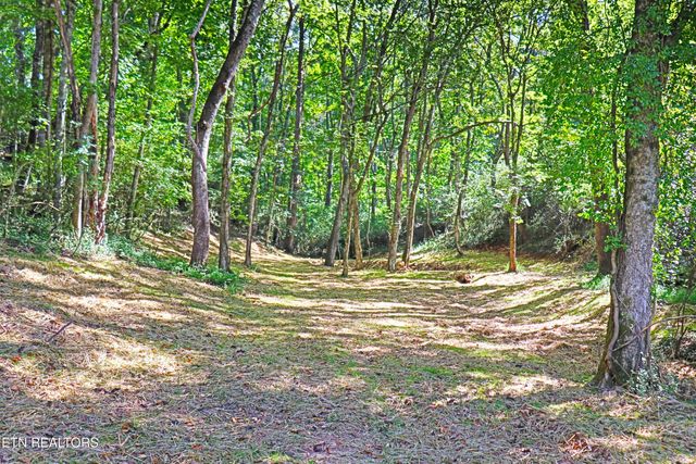 1700 Bluff Rd, Harriman, TN 37748