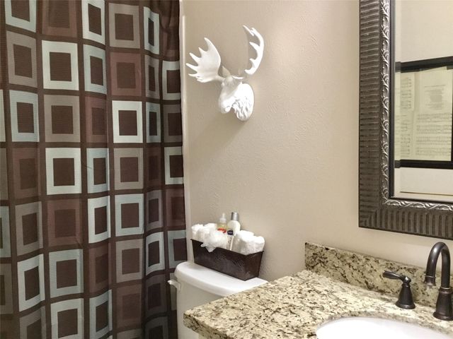 3 N Spiral Vine Circle, Montgomery, TX 77381