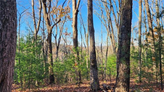 0 Meadowlands Drive, Talking Rock, GA 30175