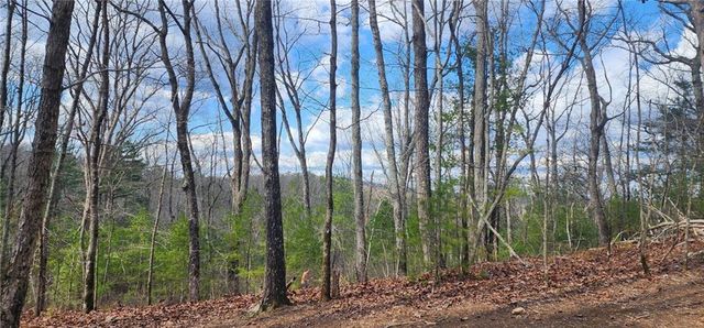 0 Meadowlands Drive, Talking Rock, GA 30175