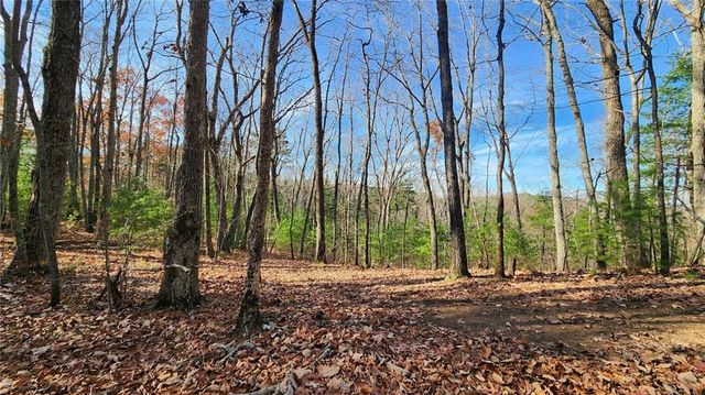 0 Meadowlands Drive, Talking Rock, GA 30175