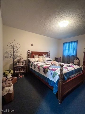 2242 S Mccoy Ridge Road, Stockport, OH 43787