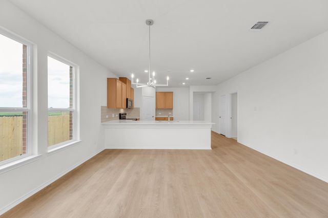 18017 Bridled Stallion DR, Manor, TX 78653