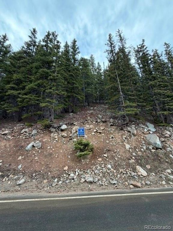9208 Fall river Road, Idaho Springs, CO 80452