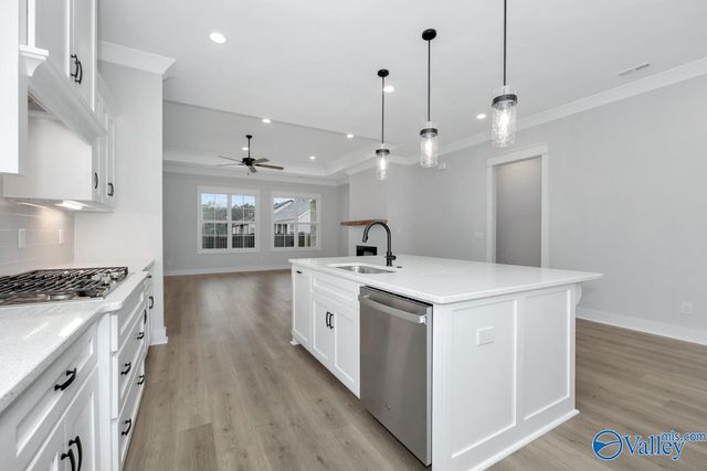 6128 Abner Branch Boulevard, Owens Cross Roads, AL 35763