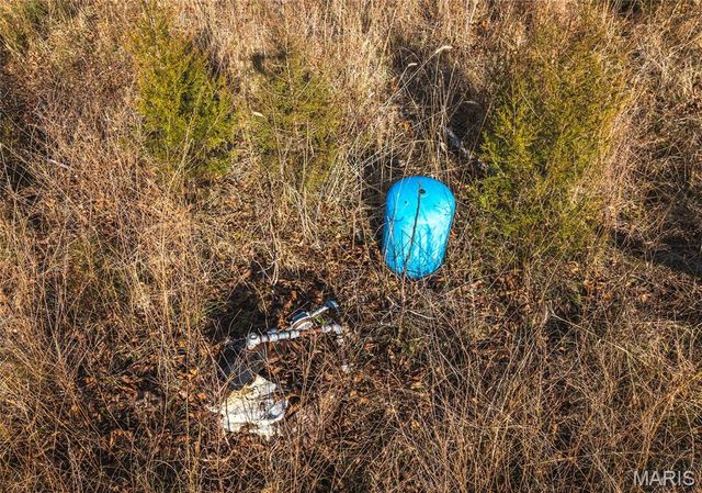 000 County Road 126, Annapolis, MO 63620