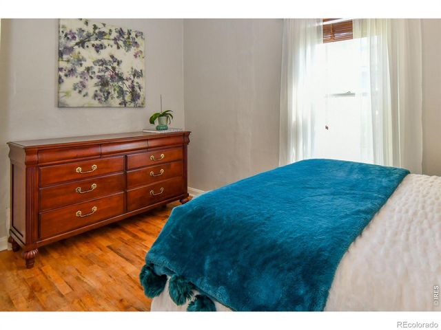 230 Elm Street, Windsor, CO 80550