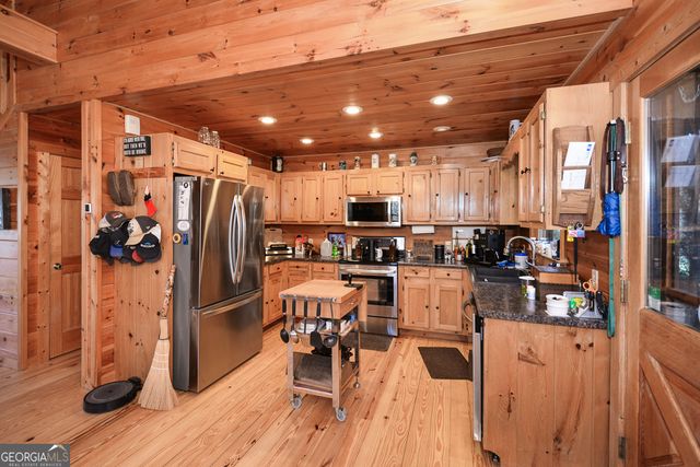 446 Pine Lane, Mineral Bluff, GA 30559