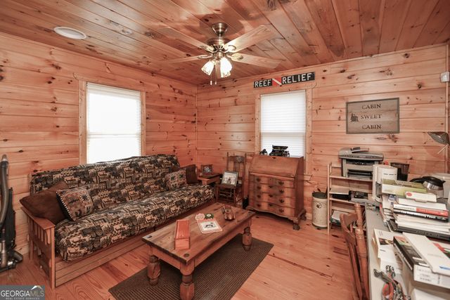 446 Pine Lane, Mineral Bluff, GA 30559